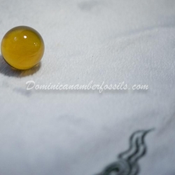 Clear Large Dominican Amber Sphere 3