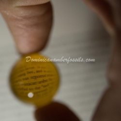 Clear Large Dominican Amber Sphere