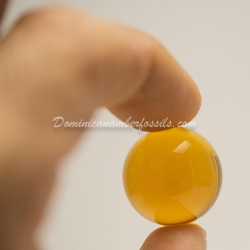 Clear Large Dominican Amber Sphere 7