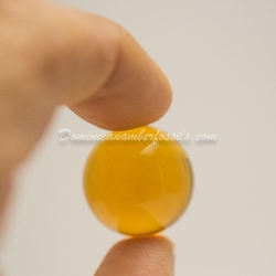 Clear Large Dominican Amber Sphere 8