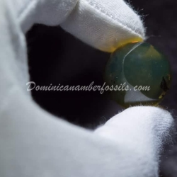 Clear Marble With Light Inclusions 4