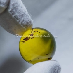 Clear Marble With Light Inclusions 6