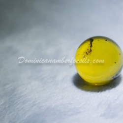 Clear Marble With Light Inclusions 8