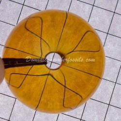 Cognac Green Asian Donut 4