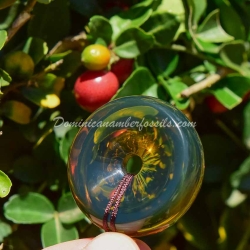Cognac Green Asian Donut 6