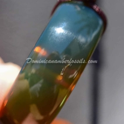 Cognac Green Asian Donut 9