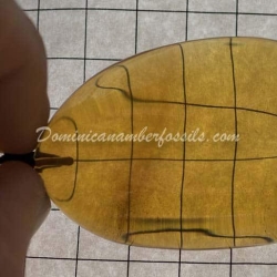 Cognac Green Pendant