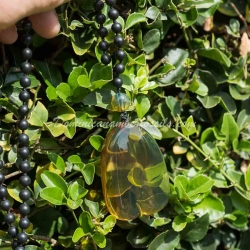 Cognac Green Pendant 5