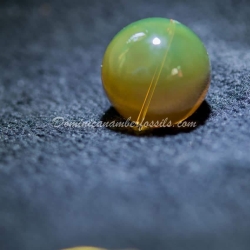 Cognac Green Sphere Amber Dominican 4