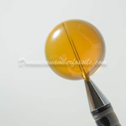 Cognac Green Sphere Amber Dominican 6