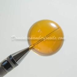 Cognac Green Sphere Amber Dominican 7