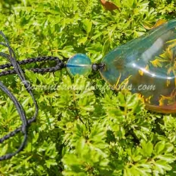 Crystal Clear Pendant From Palo Quemado 4