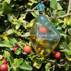 Crystal Clear Pendant From Palo Quemado 5