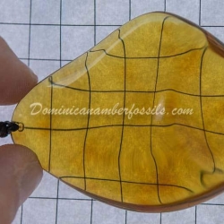 Crystal Clear Pendant From Palo Quemado