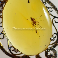 Diptera On Silver Pendant Base 4