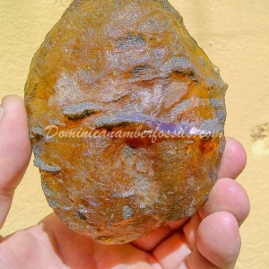 Dominican Amber Nugget 5