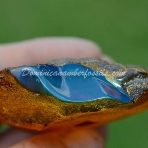 Dominican Amber Nugget 9