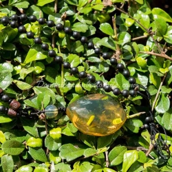 Dominican Amber Pendant With Diptera Fossil Inclusion 2