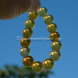 Dominican Amber Stretching Bracelet