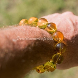 Dominican Amber Stretching Bracelet 3