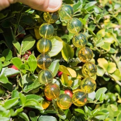 Dominican Amber Stretching Bracelet 4