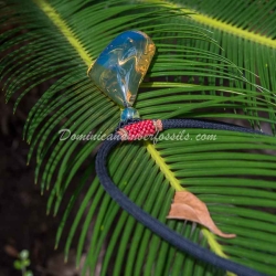 Dominican Bicolor Blue And Green Pendant 3