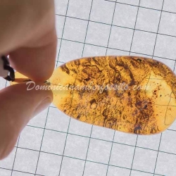 Dominican Blue Amber Pendant Half Polished 2