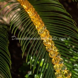 Fancy Beads Dominican Amber Collar 10
