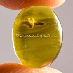 Flower Bud On Lovely Amber Piece 2