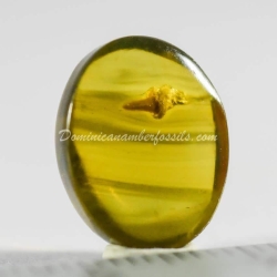 Flower Bud On Lovely Amber Piece 3