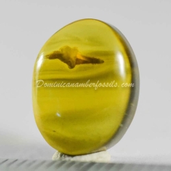 Flower Bud On Lovely Amber Piece 4