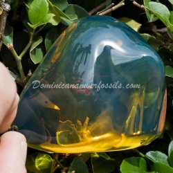 Genuine Bluish Green Dominican Amber Talisman 2