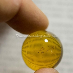 Genuine Dominican Amber Clear Sphere 2