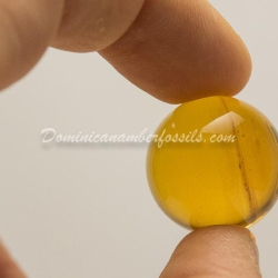 Genuine Dominican Amber Clear Sphere 8
