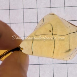 Genuine Dominican Amber Pendant 3
