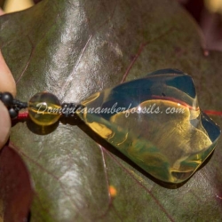 Genuine Dominican Amber Pendant 4