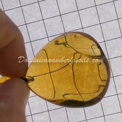 Gold Green Dominican Amber Pendant