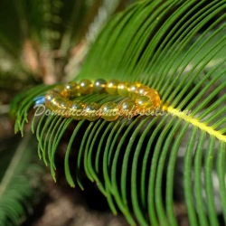 Green Amber Stretching Bracelet 10