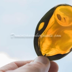 Huge Dominican Amber Pendant