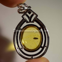 Hymenoptera Fossil Amber On Silver Frame 2