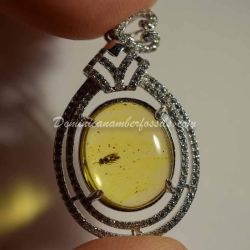 Hymenoptera Fossil Amber On Silver Frame 3