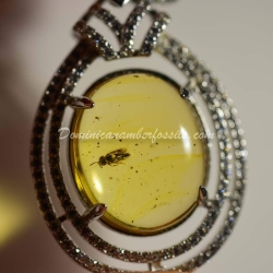 Hymenoptera Fossil Amber On Silver Frame 4