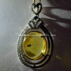 Hymenoptera Fossil Amber On Silver Frame 6