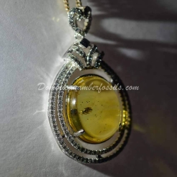 Hymenoptera Fossil Amber On Silver Frame 7
