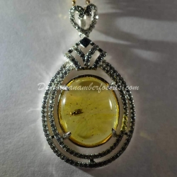 Hymenoptera Fossil Amber On Silver Frame 8