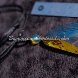 Large Blue Dominican Amber Pendant 8