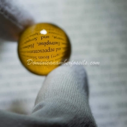 Large Clear Dominican Amber Sphere 2