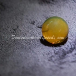 Large Clear Dominican Amber Sphere 4