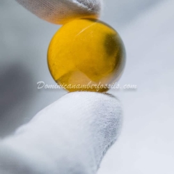 Large Clear Dominican Amber Sphere 7