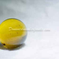 Large Clear Marble With Light Inclusions 5
